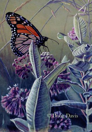 A swallowtail butterfly among purple flowers