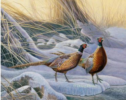 Two pheasants standing in snowy grass