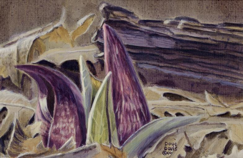 Purple woodland plants emerging through dry leaves