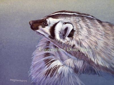 A close portrait of a badger